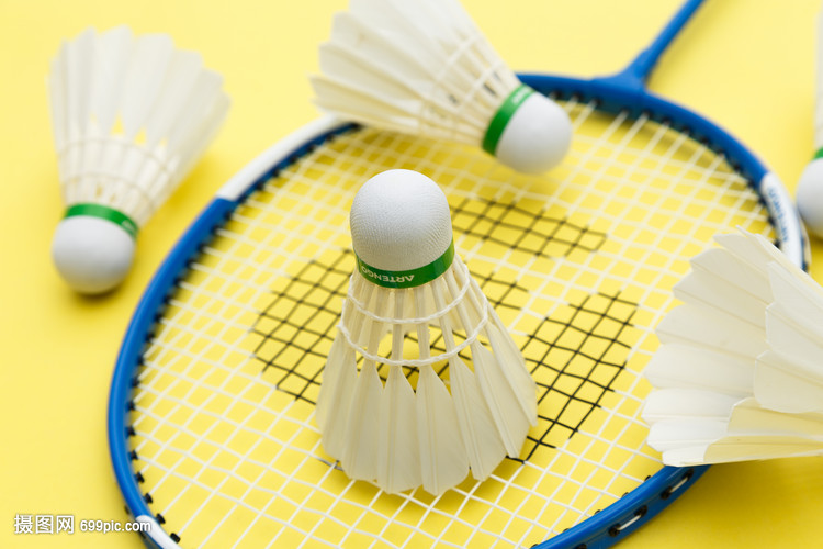 是鹈鹕签下 是鹈鹕签下