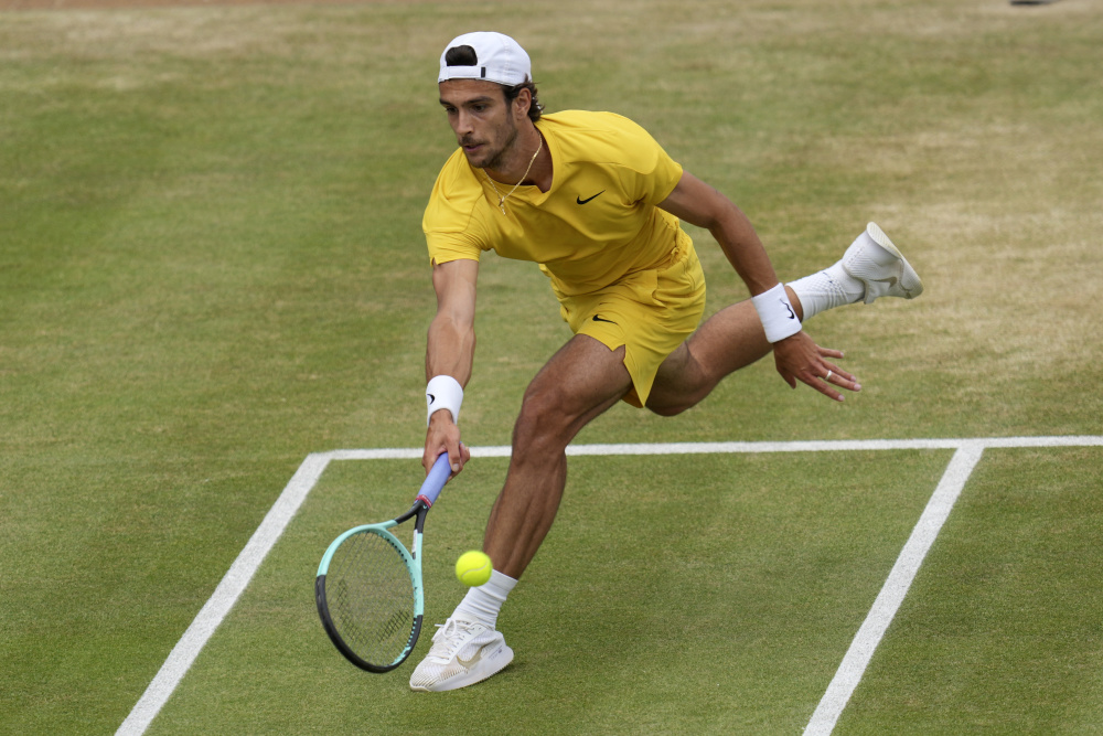 神和适应力 神和适应力